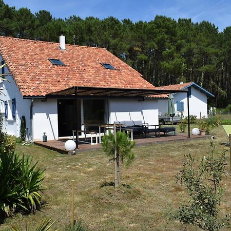 Evasion Cotiere Tranquillite Entre Foret Et Ocean Vielle-Saint-Girons Exterior photo