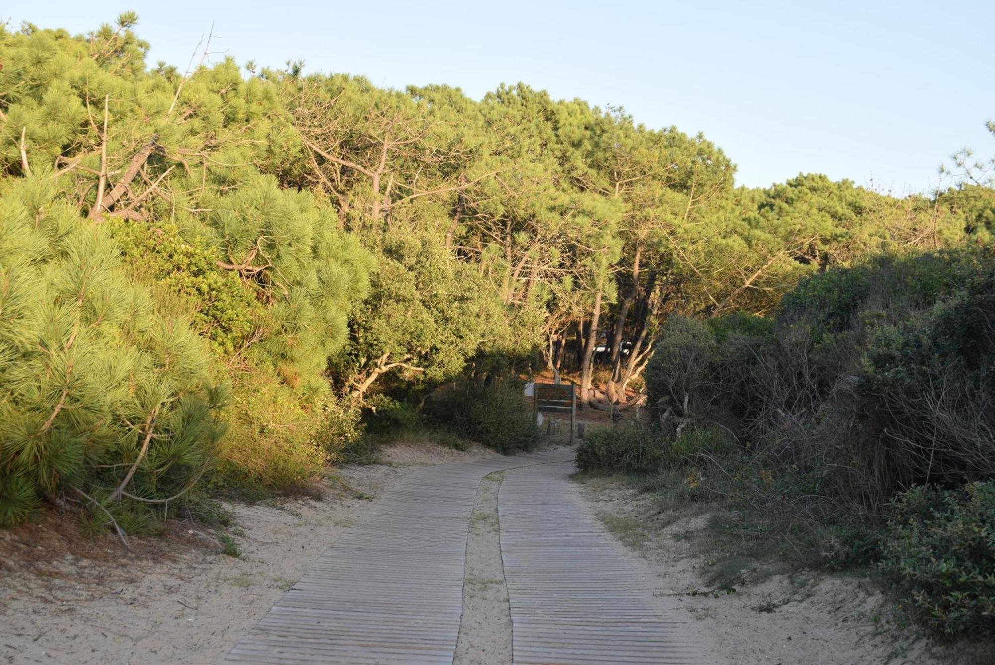 Evasion Cotiere Tranquillite Entre Foret Et Ocean Vielle-Saint-Girons Exterior photo